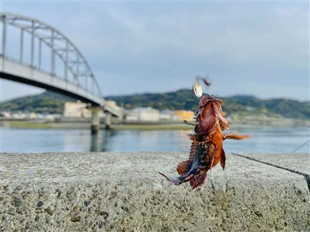 インスタライブ空き家紹介