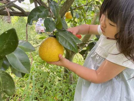 移住者紹介：田中さんご家族